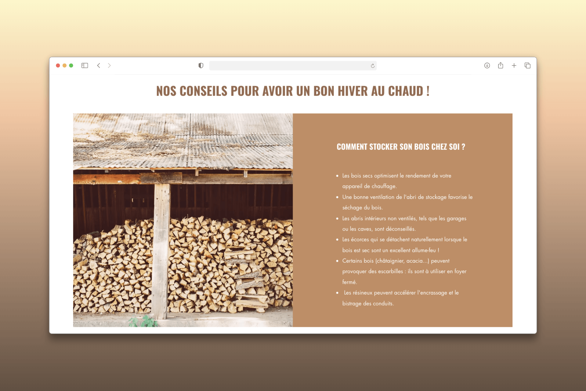 Section conseils sur le site vitrine de Stères Bois
